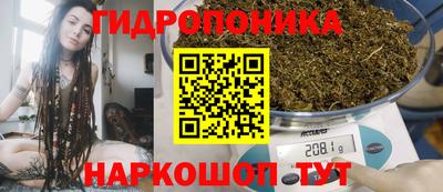 шишки Бузулук