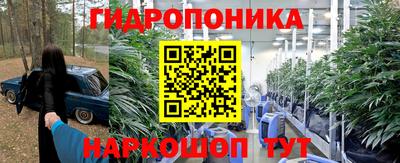 a pvp Будённовск